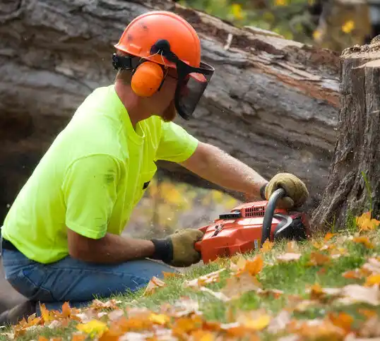 tree services Livermore